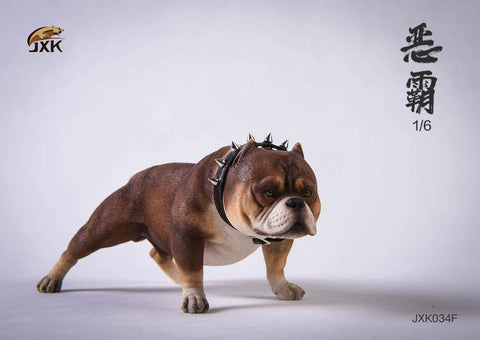 1/6 American Bully F