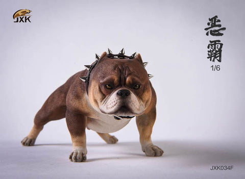 1/6 American Bully F