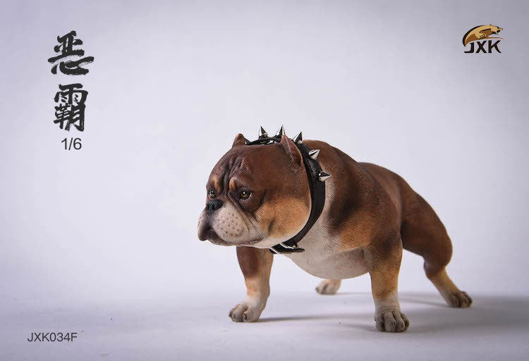 1/6 American Bully F