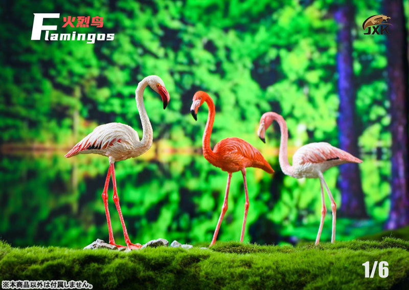 1/6 Flamingo C