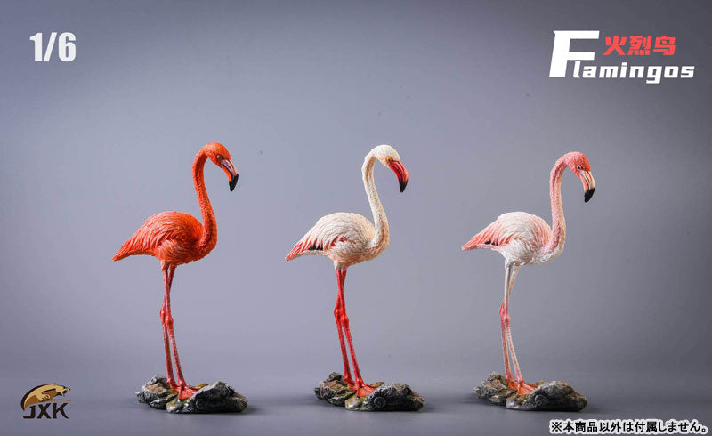 1/6 Flamingo C