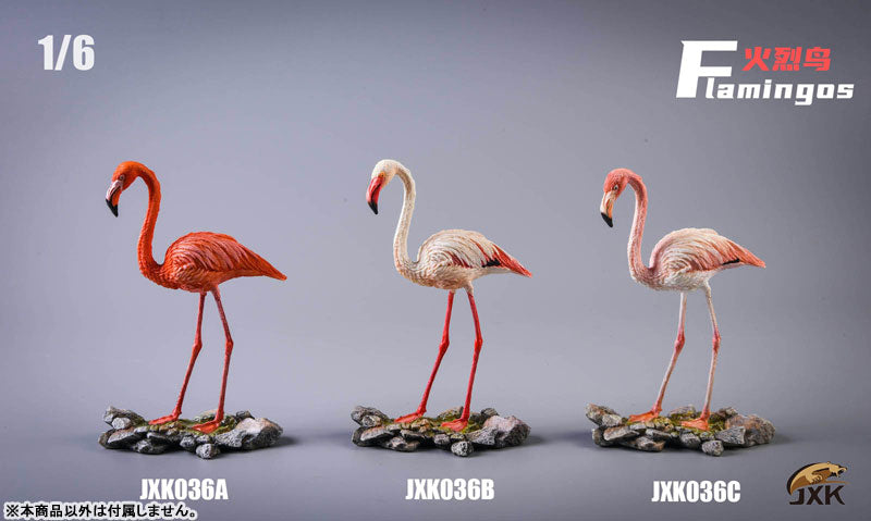 1/6 Flamingo C