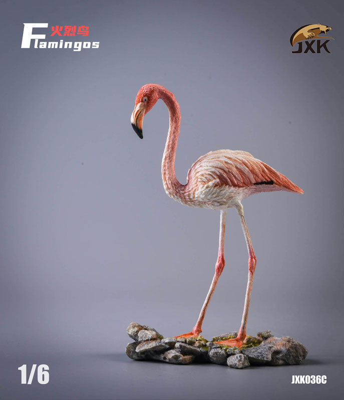 1/6 Flamingo C