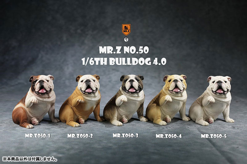 1/6 Bulldog 4.0 1