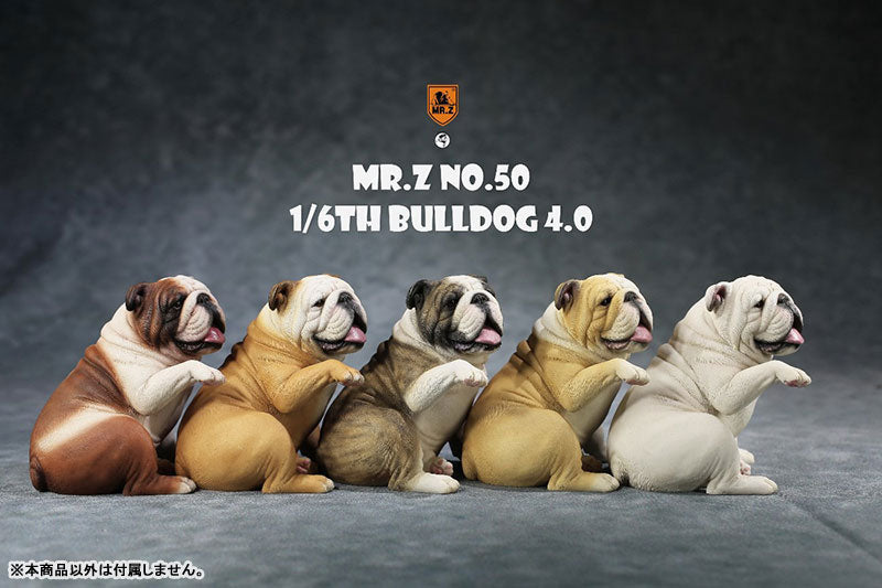 1/6 Bulldog 4.0 1