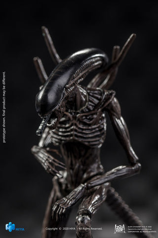Alien: Covenant 1/18 Action Figure Xenomorph