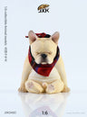 1/6 French Bulldog D