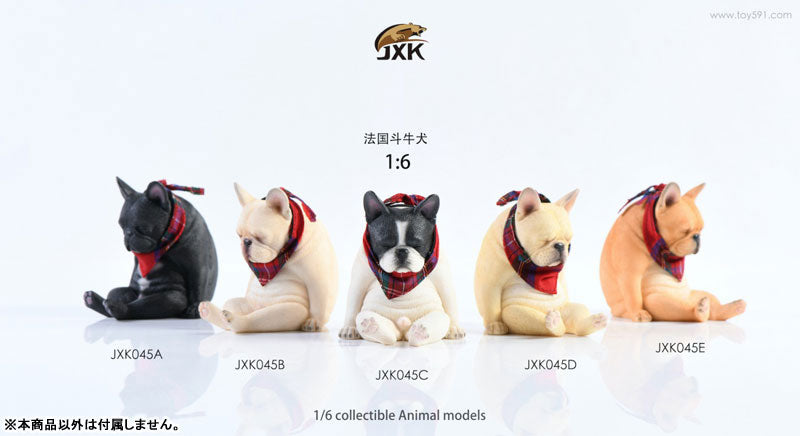 1/6 French Bulldog D