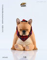 1/6 French Bulldog E