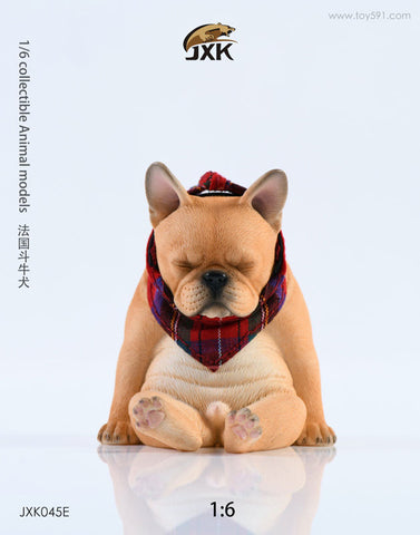 1/6 French Bulldog E