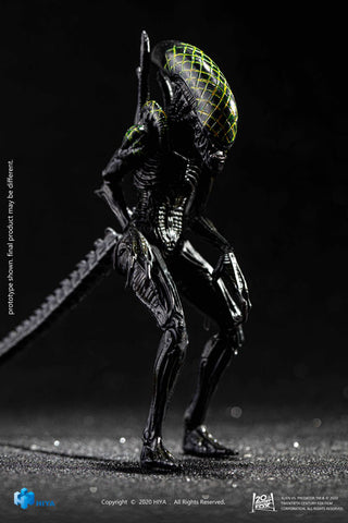 AVP 1/18 Action Figure Grid Alien