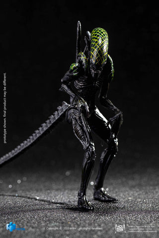 AVP 1/18 Action Figure Grid Alien