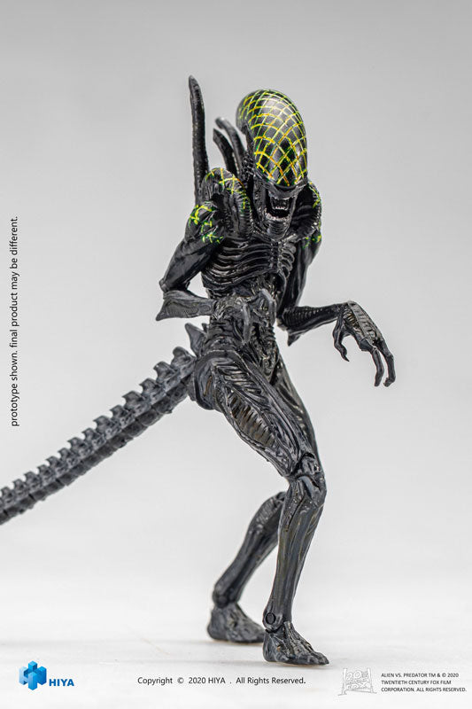 AVP 1/18 Action Figure Grid Alien