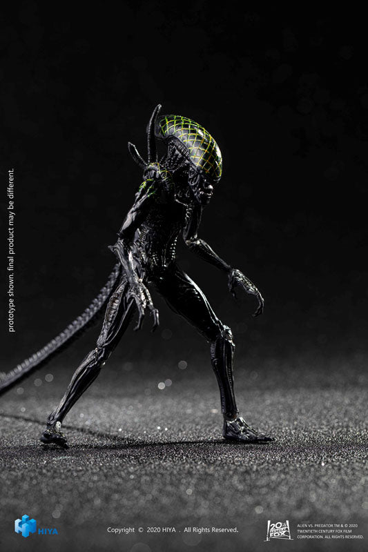 AVP 1/18 Action Figure Grid Alien