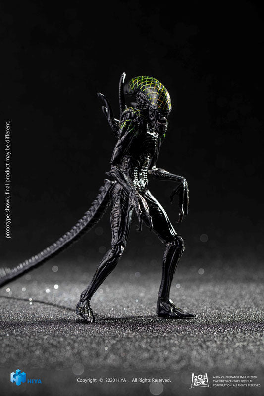 AVP 1/18 Action Figure Grid Alien