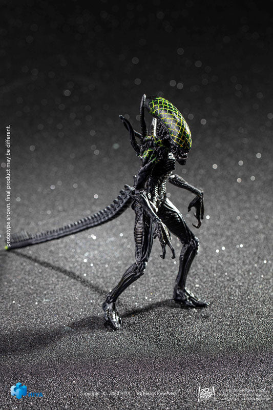 AVP 1/18 Action Figure Grid Alien