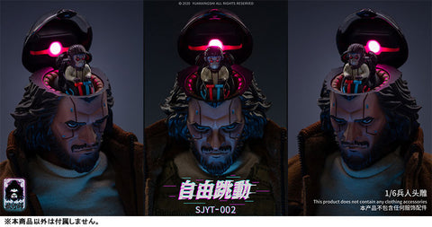 1/6 Head Steel APEA Head Series 002