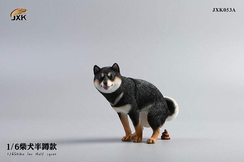 1/6 Shiba Inu Half-squat A