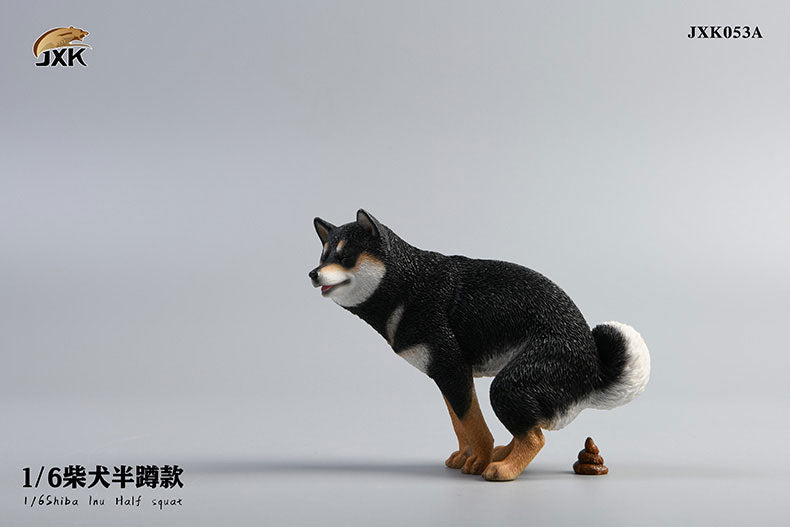 1/6 Shiba Inu Half-squat A