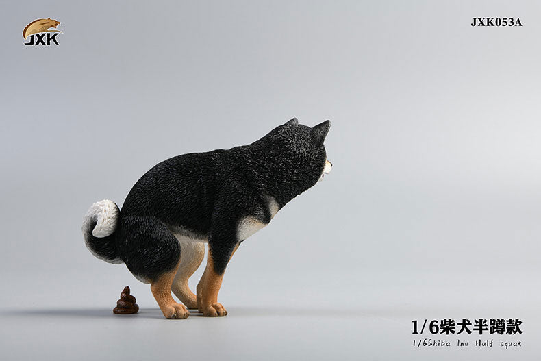 1/6 Shiba Inu Half-squat A