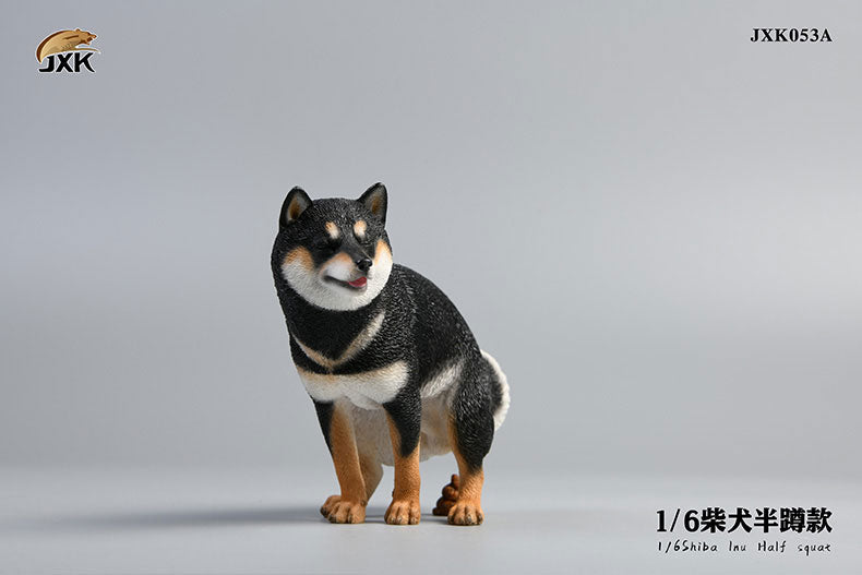 1/6 Shiba Inu Half-squat A