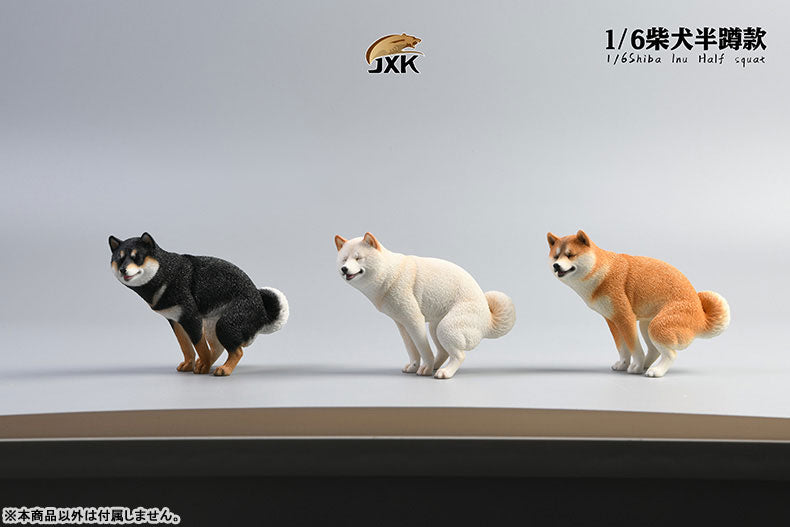 1/6 Shiba Inu Half-squat A