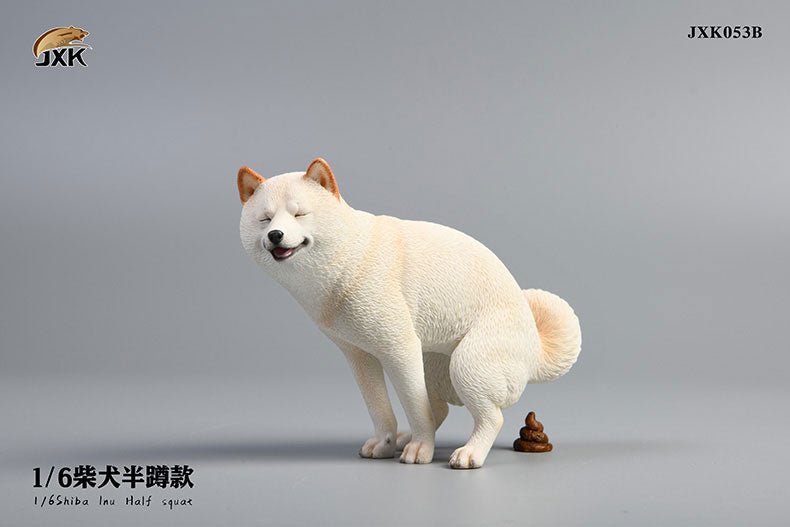 1/6 Shiba Inu Half-squat B