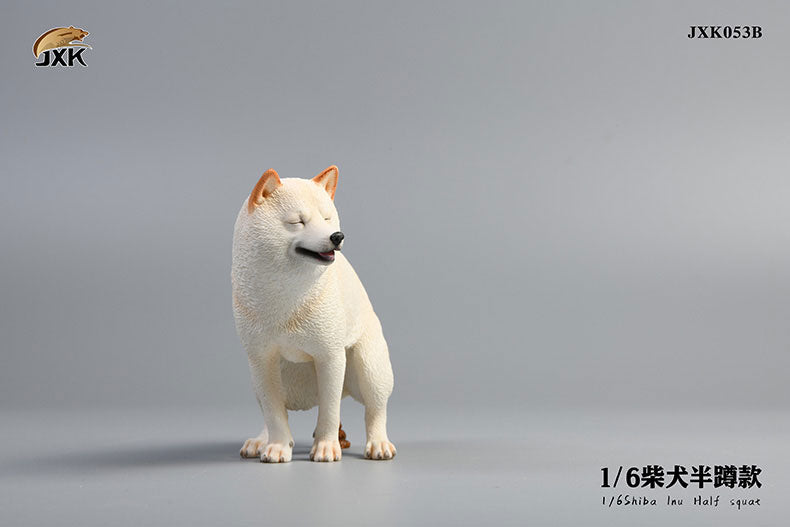 1/6 Shiba Inu Half-squat B