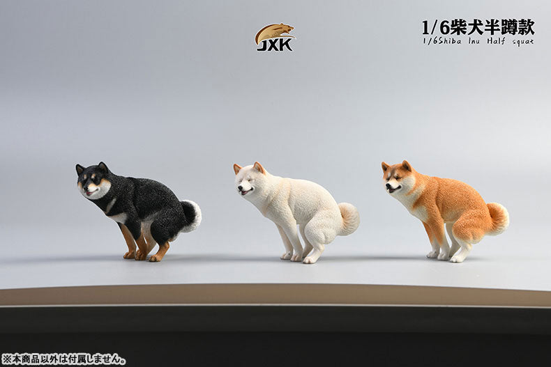 1/6 Shiba Inu Half-squat B