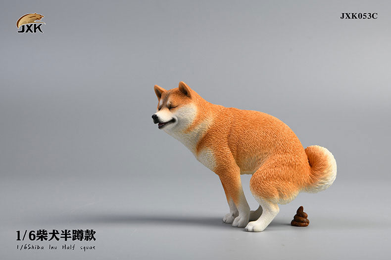 1/6 Shiba Inu Half-squat C