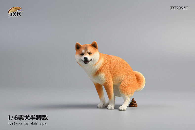 1/6 Shiba Inu Half-squat C