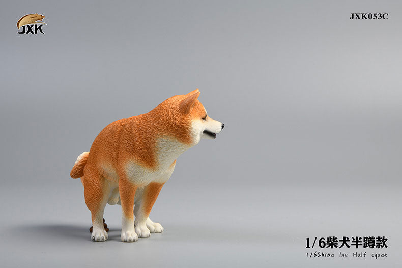 1/6 Shiba Inu Half-squat C