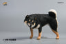 1/6 Shiba Inu Lifting a Leg A