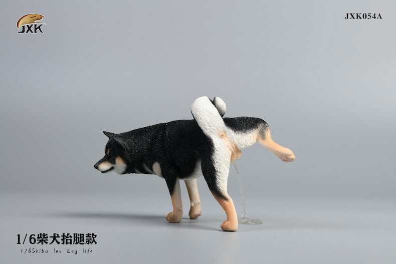 1/6 Shiba Inu Lifting a Leg A