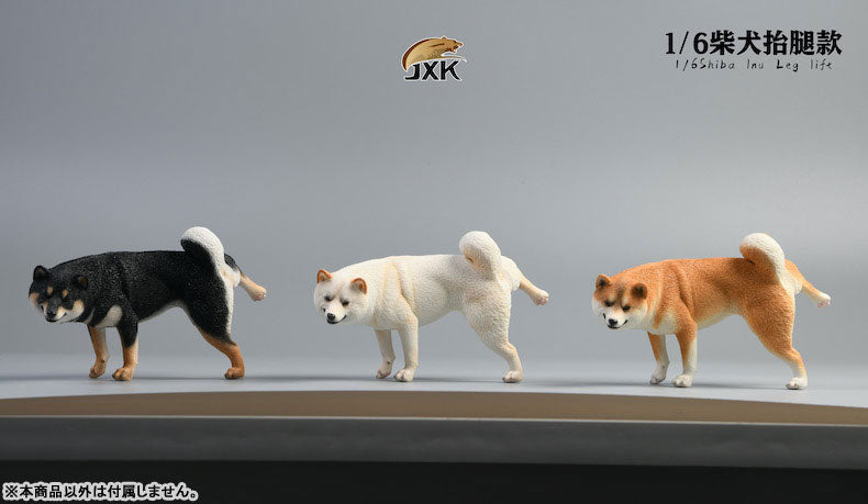 1/6 Shiba Inu Lifting a Leg A