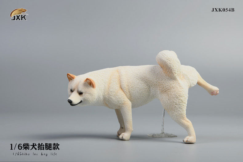 1/6 Shiba Inu Lifting a Leg B