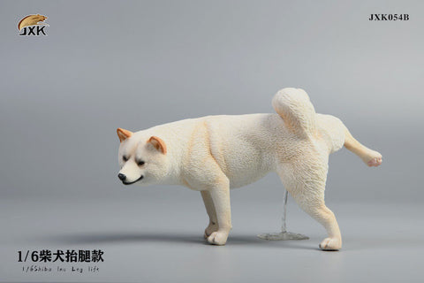 1/6 Shiba Inu Lifting a Leg B