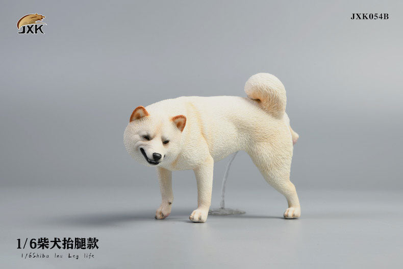 1/6 Shiba Inu Lifting a Leg B