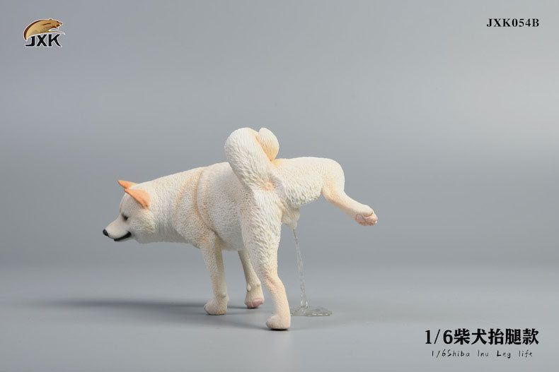 1/6 Shiba Inu Lifting a Leg B