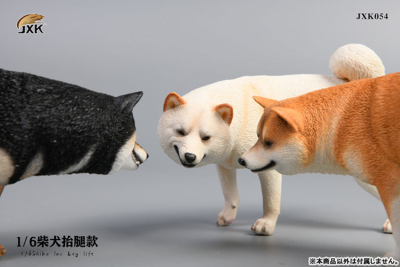 1/6 Shiba Inu Lifting a Leg B