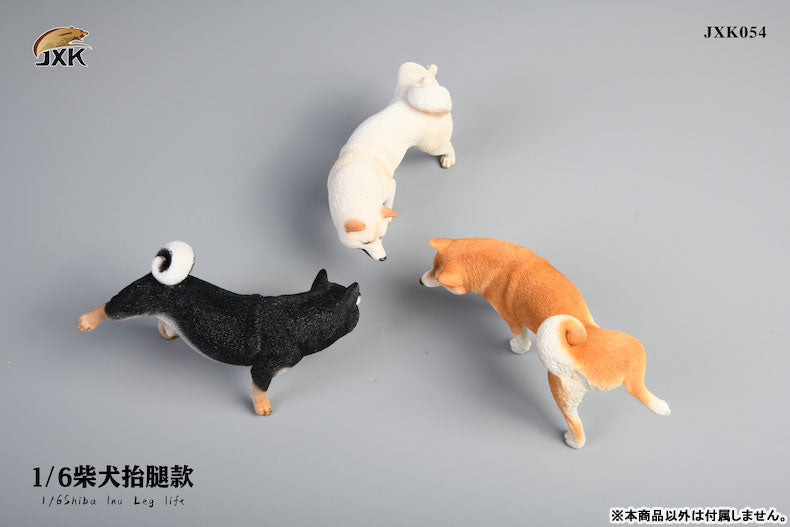 1/6 Shiba Inu Lifting a Leg B