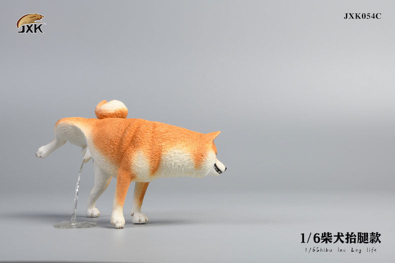 1/6 Shiba Inu Lifting a Leg C