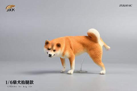 1/6 Shiba Inu Lifting a Leg C