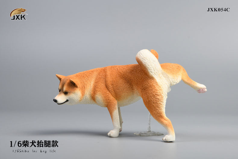 1/6 Shiba Inu Lifting a Leg C