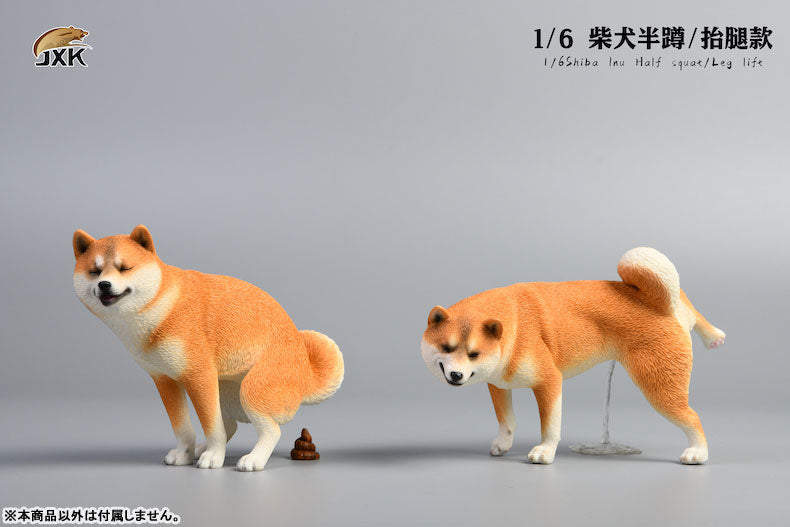 1/6 Shiba Inu Lifting a Leg C