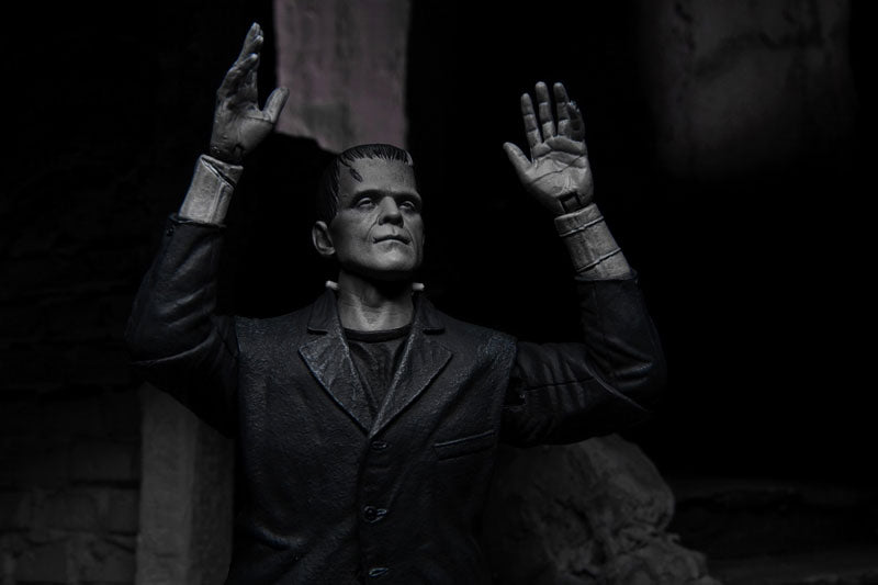 Frankenstein / Frankenstein's Monster Ultimate 7 Inch Action Figure