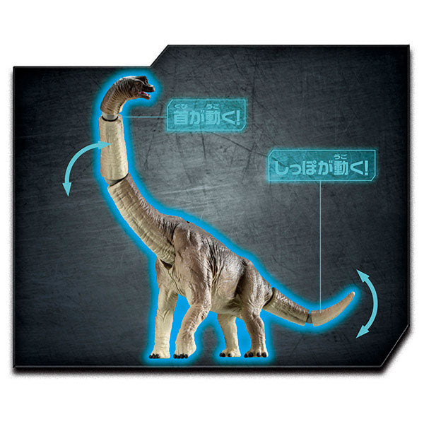 Brachiosaurus - Ania