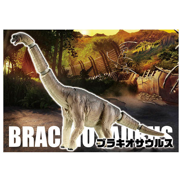Brachiosaurus - Ania