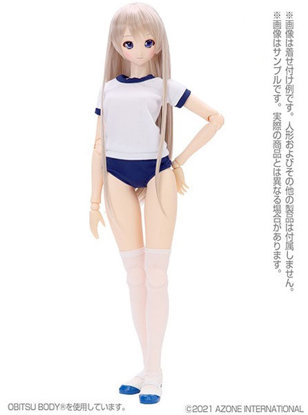 1/3 Scale - 50 Indoor Shoes II White x Blue (DOLL ACCESSORY)