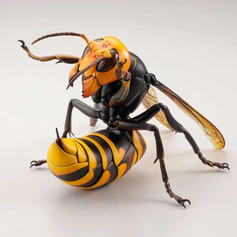 Oosuzumebachi (Japanese Giant Hornet) - REVOGEO
